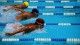 Međunarodni plivački miting V Aqua Kup
