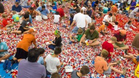 Visit the LEGO Festival